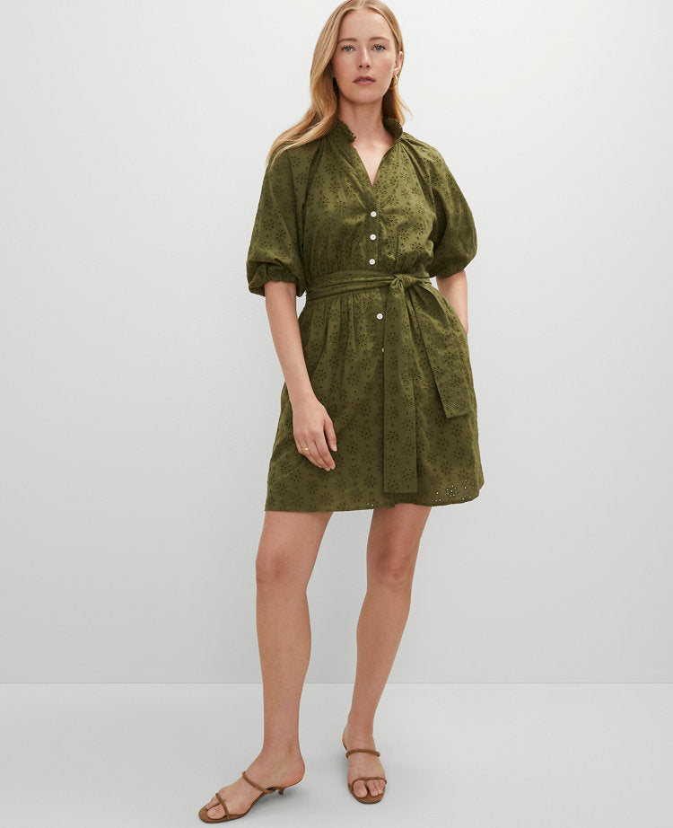 Petite Eyelet Ruffle Neck Flare Dress