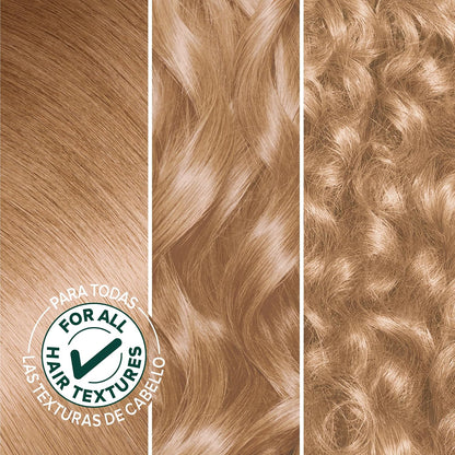 Garnier Hair Color Nutrisse Nourishing Creme, 40 Dark Brown (Dark Chocolate) Permanent Hair Dye, 1 Count (Packaging May Vary)