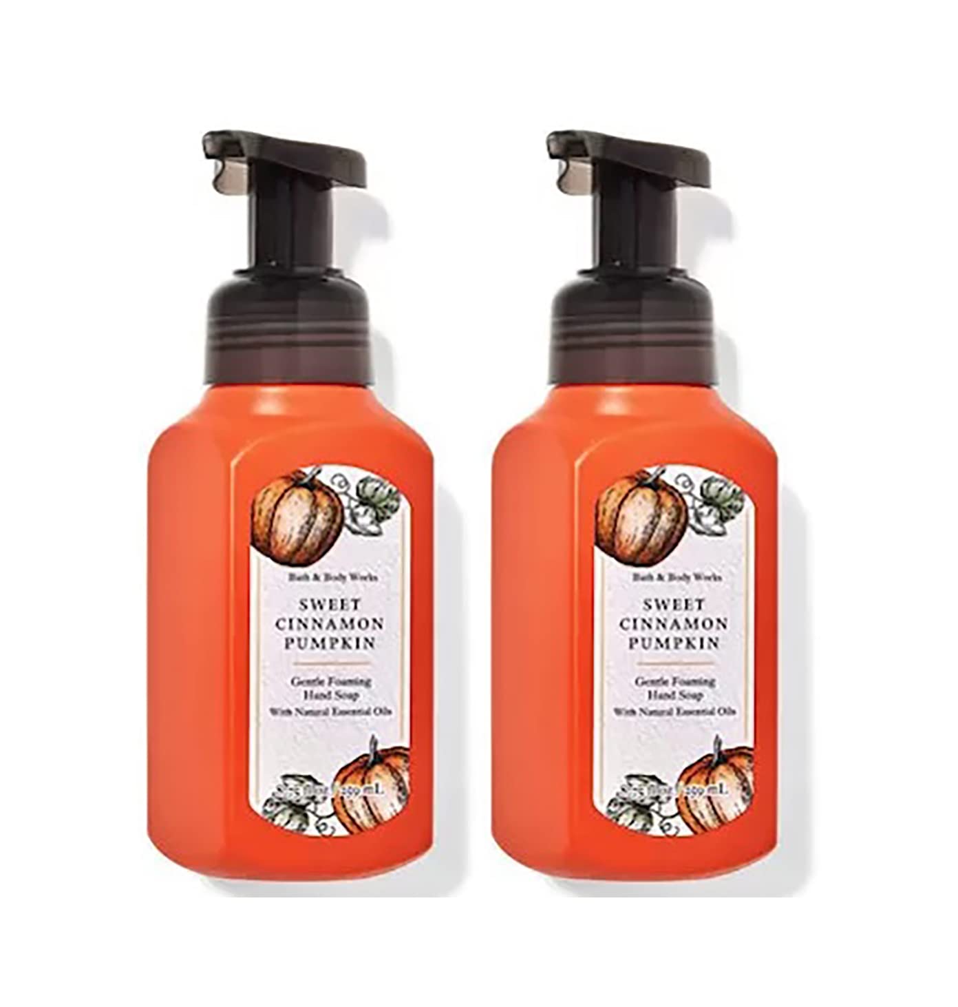 Bath & Body Works Assorted 5 Pack Gentle Foaming Hand Soap