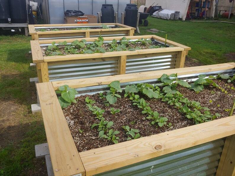 💝 Buy 3 Only $19 🔥Cedar Raised Garden Bed