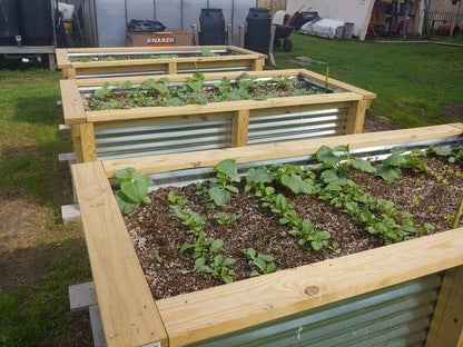 💝 Buy 3 Only $19 🔥Cedar Raised Garden Bed