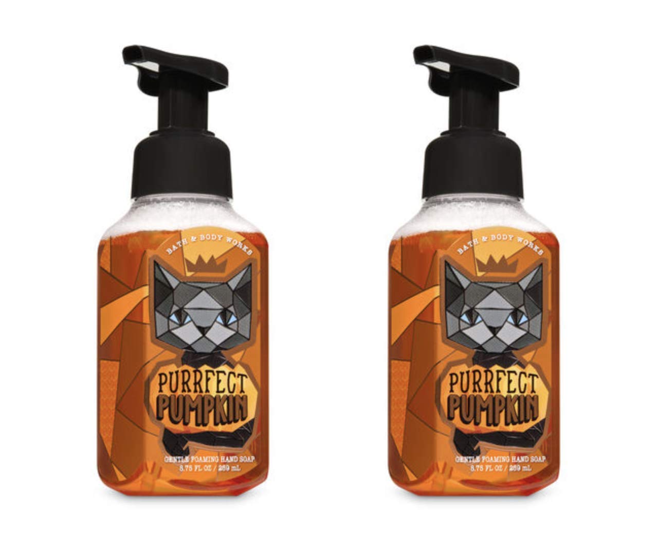 Bath & Body Works Assorted 5 Pack Gentle Foaming Hand Soap