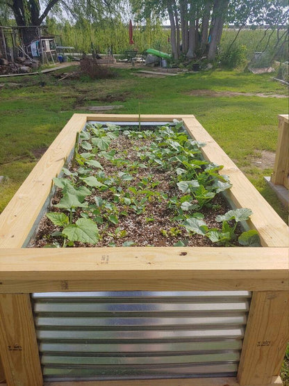 💝 Buy 3 Only $19 🔥Cedar Raised Garden Bed