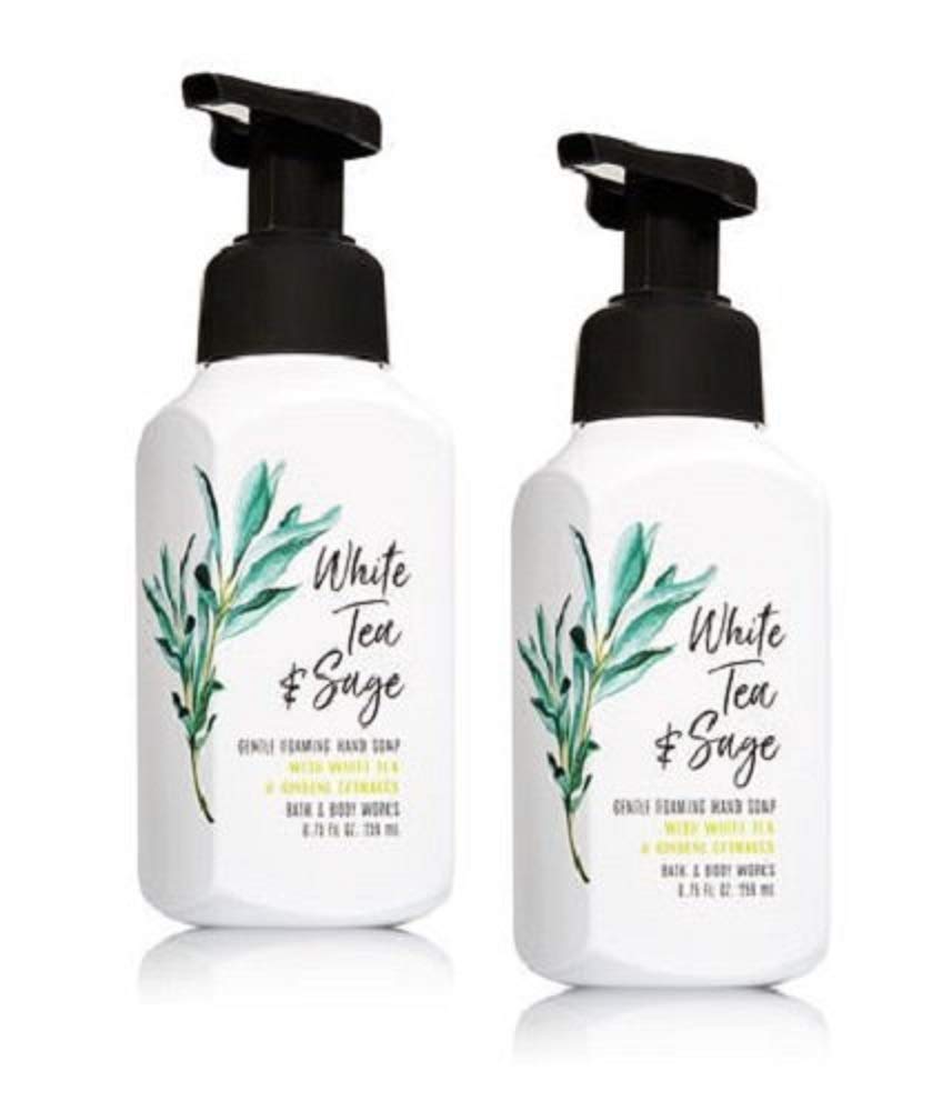 Bath & Body Works Assorted 5 Pack Gentle Foaming Hand Soap
