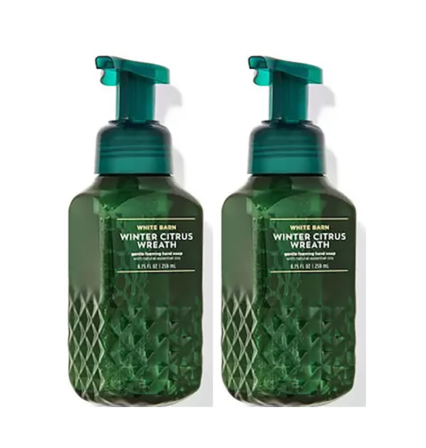 Bath & Body Works Assorted 5 Pack Gentle Foaming Hand Soap