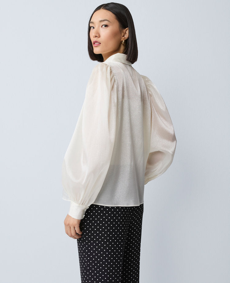 Organza Voluminous Collared Shirt