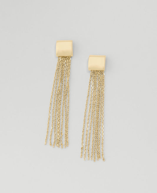 Chain Dangle Earrings