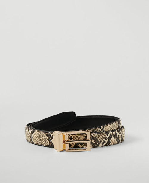 Reversible Belt