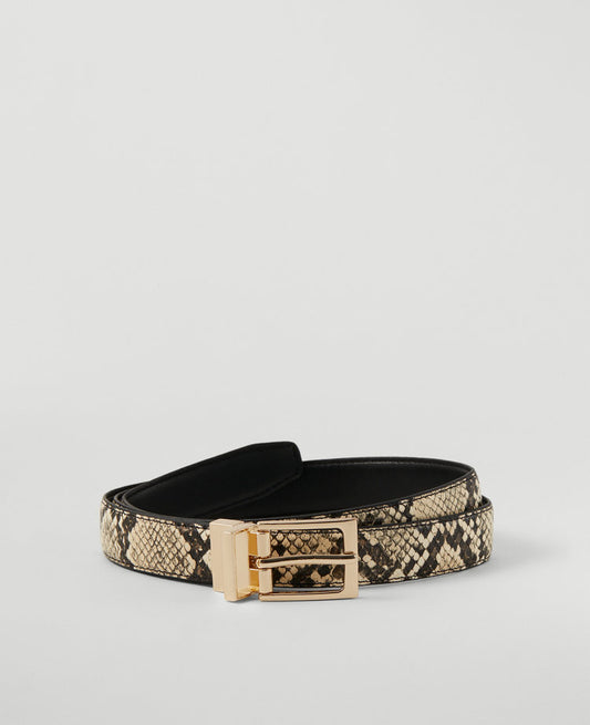 Reversible Belt