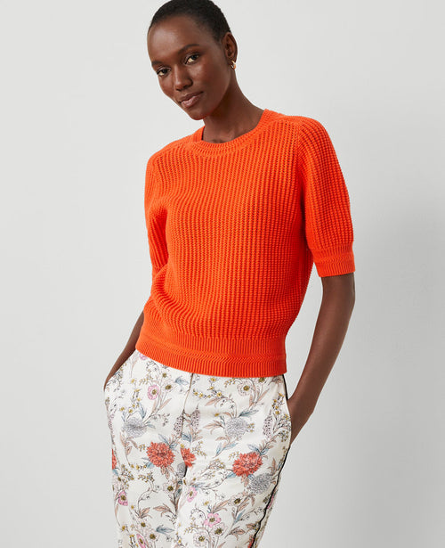 Open Stitch Wedge Sweater
