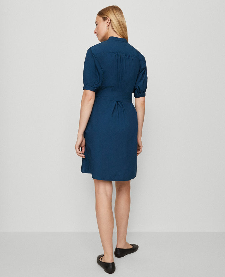 Petite Weekend Collection Stand Collar Belted Shift Dress