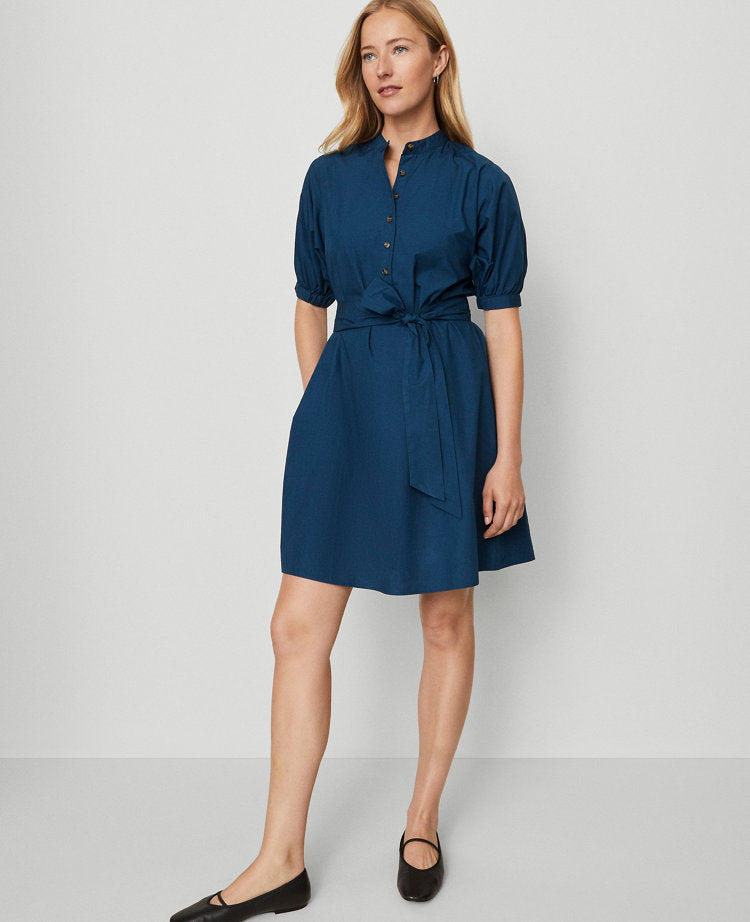 Petite Weekend Collection Stand Collar Belted Shift Dress