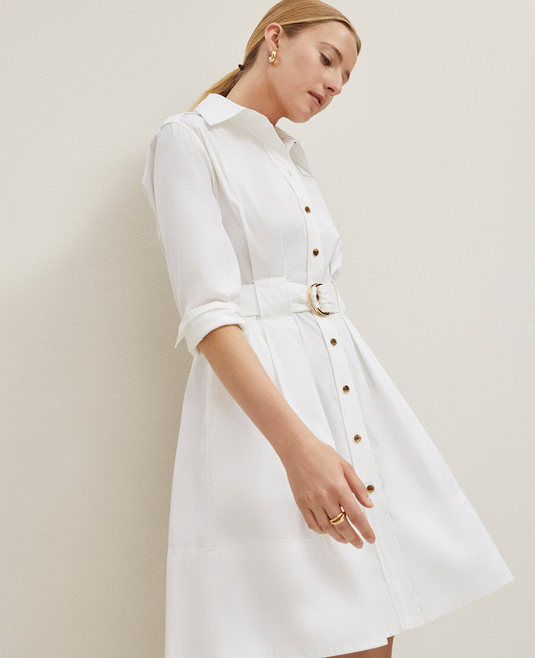 Petite Flare Pocket Shirtdress