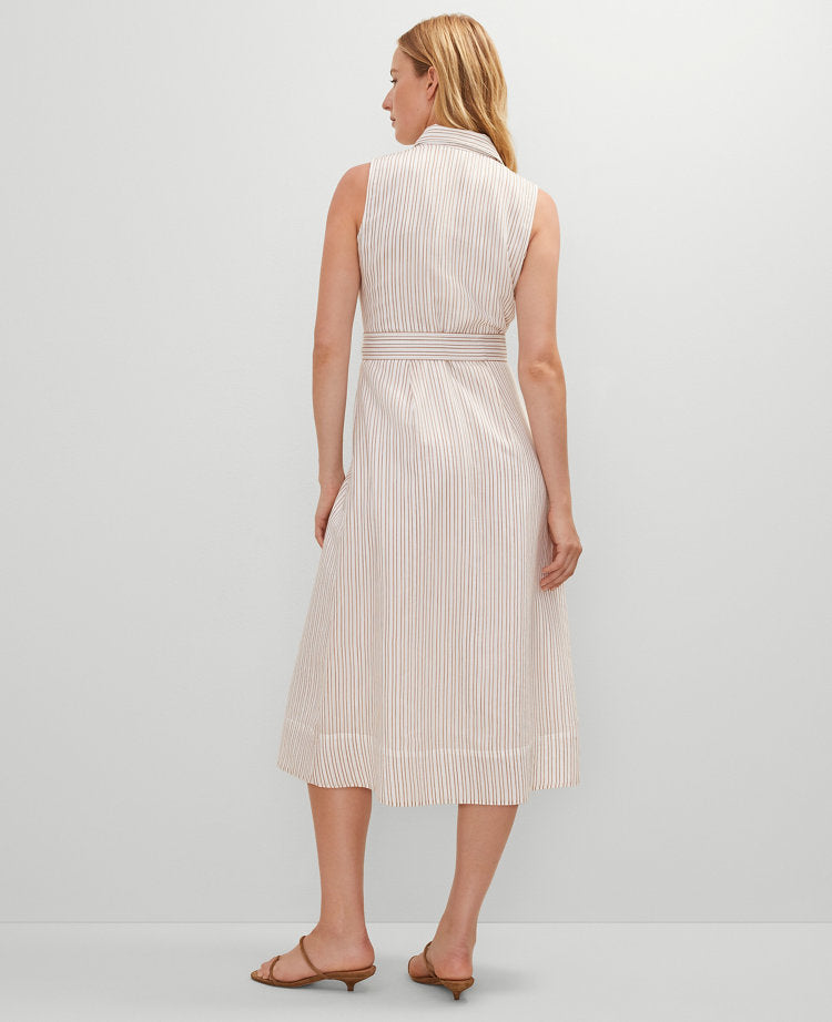 Petite Striped Flare Midi Shirtdress