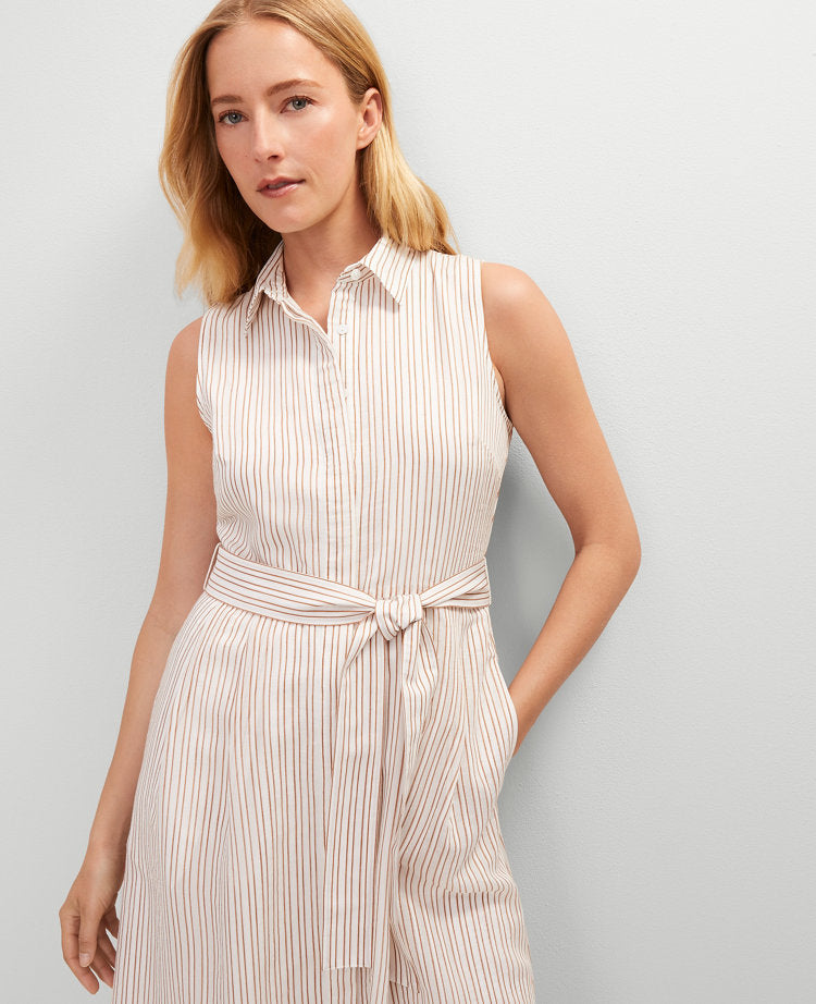 Petite Striped Flare Midi Shirtdress