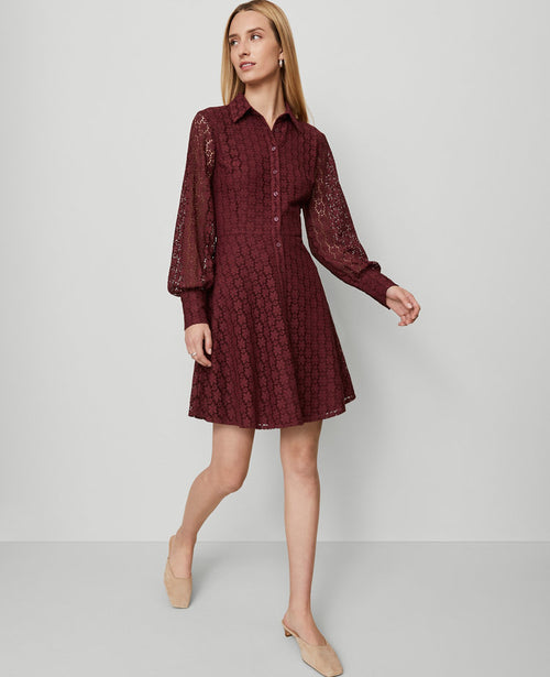 Petite Lace Flare Shirtdress