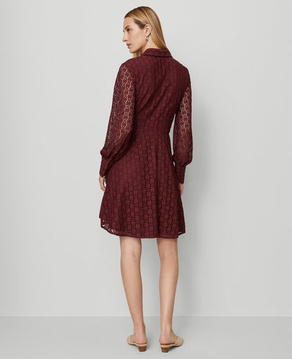 Petite Lace Flare Shirtdress