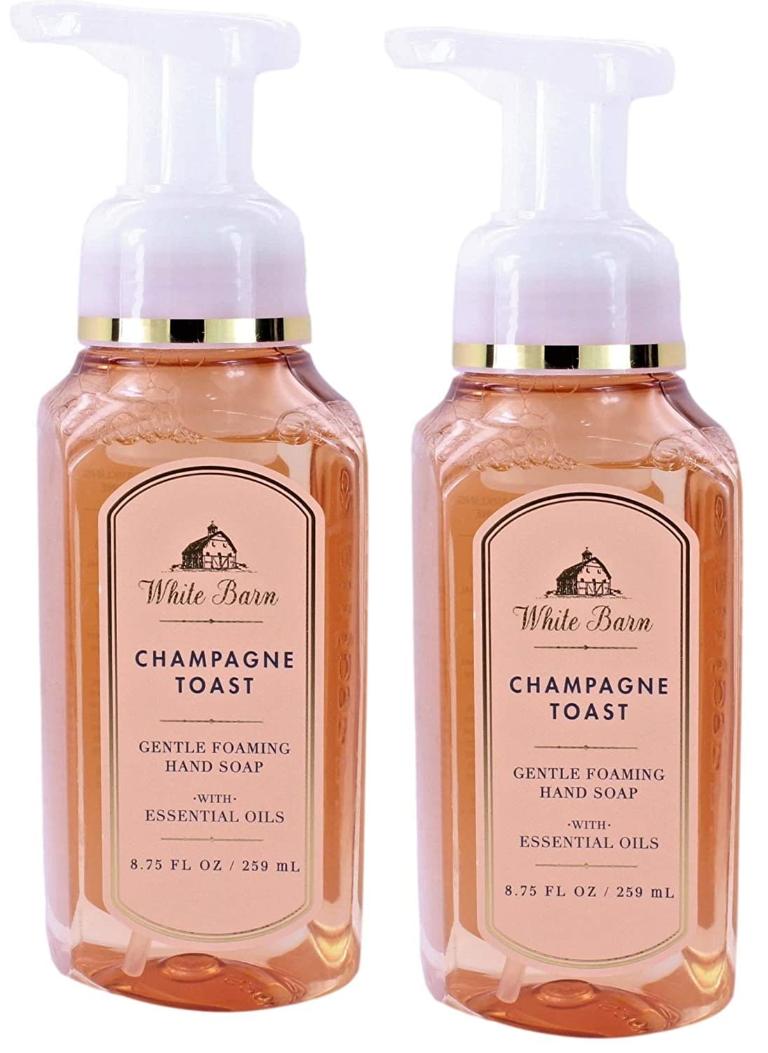 Bath & Body Works Assorted 5 Pack Gentle Foaming Hand Soap