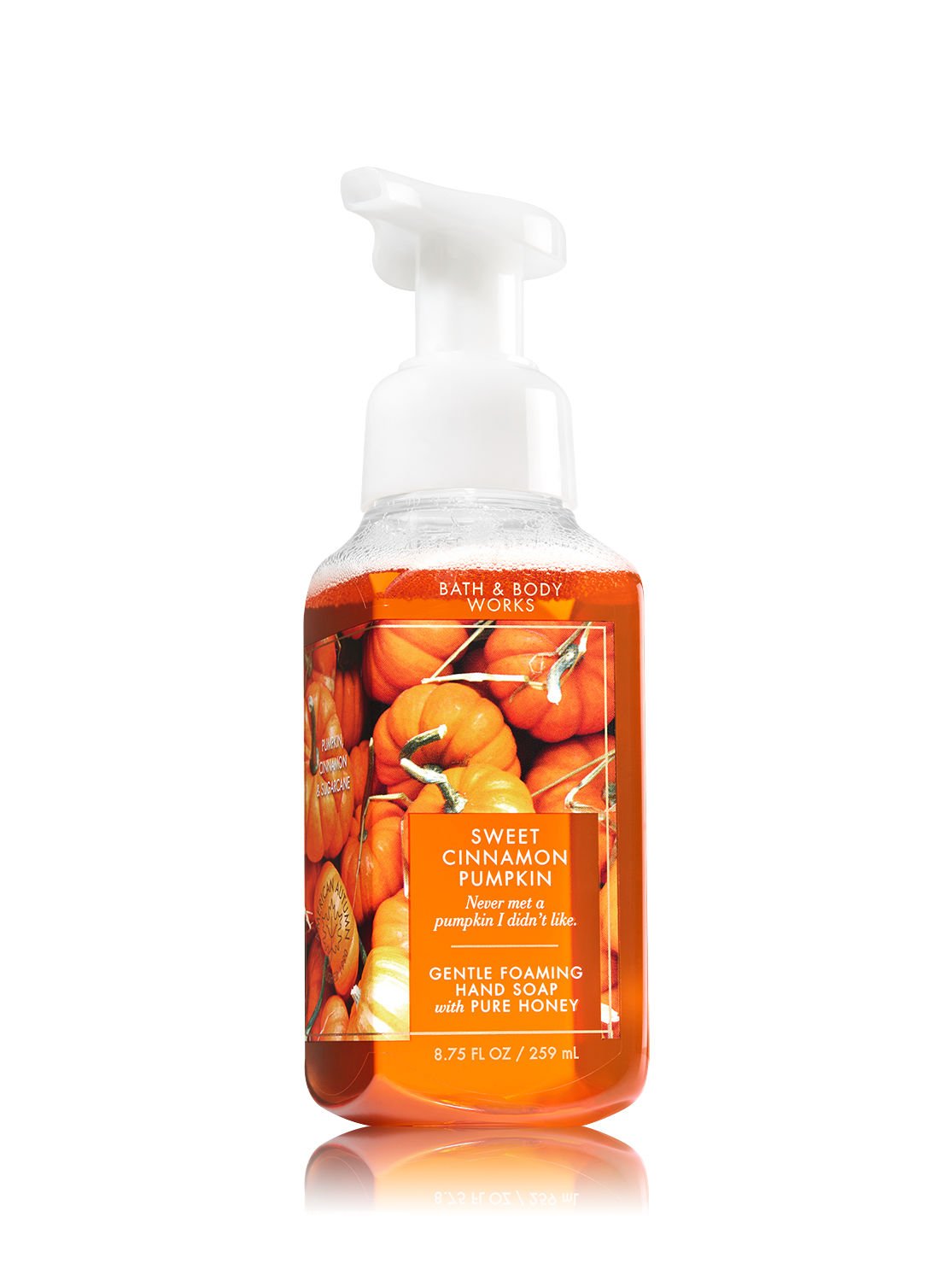 Bath & Body Works Assorted 5 Pack Gentle Foaming Hand Soap