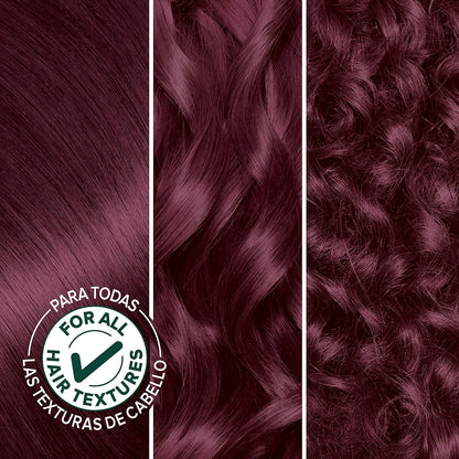Garnier Hair Color Nutrisse Nourishing Creme, 40 Dark Brown (Dark Chocolate) Permanent Hair Dye, 1 Count (Packaging May Vary)