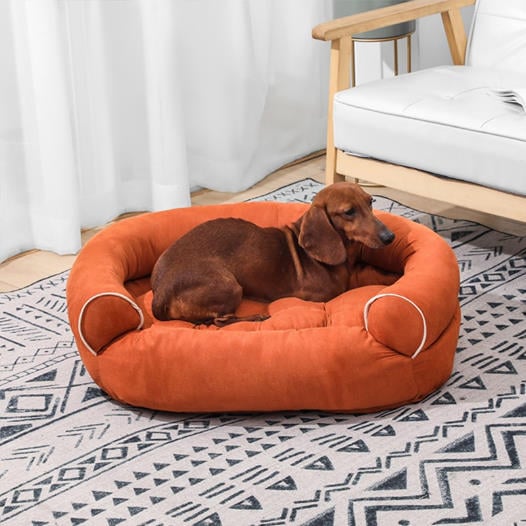 [LAST DAY - 75% OFF]💥 Sofa Dog Bed 2024