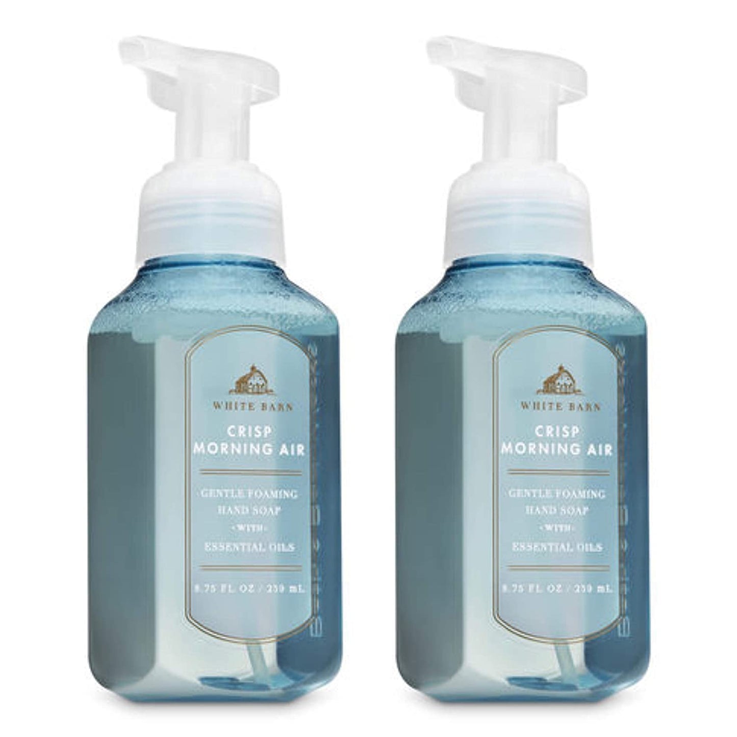 Bath & Body Works Assorted 5 Pack Gentle Foaming Hand Soap
