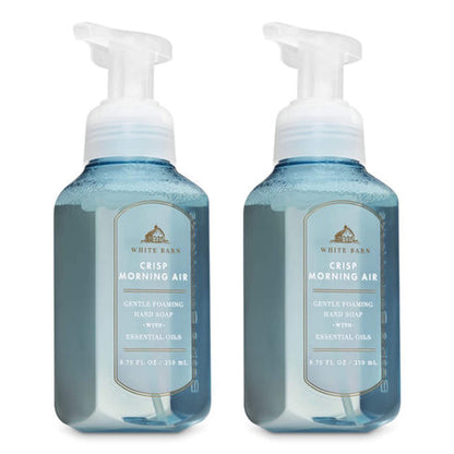 Bath & Body Works Assorted 5 Pack Gentle Foaming Hand Soap
