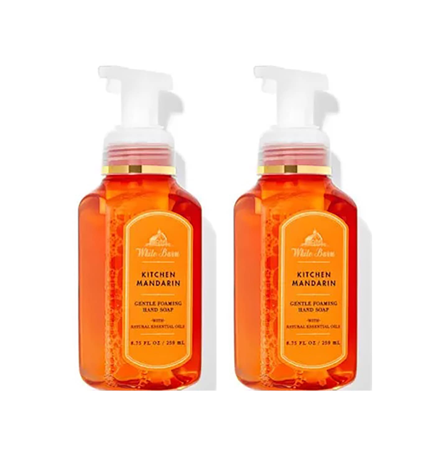 Bath & Body Works Assorted 5 Pack Gentle Foaming Hand Soap